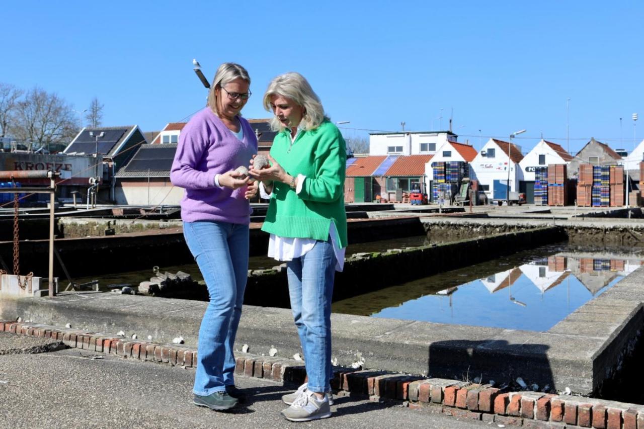 Prachtig Gelegen Vrijstaand Landhuis Hansweert エクステリア 写真